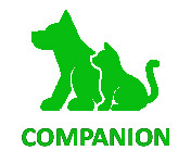 Companion-2