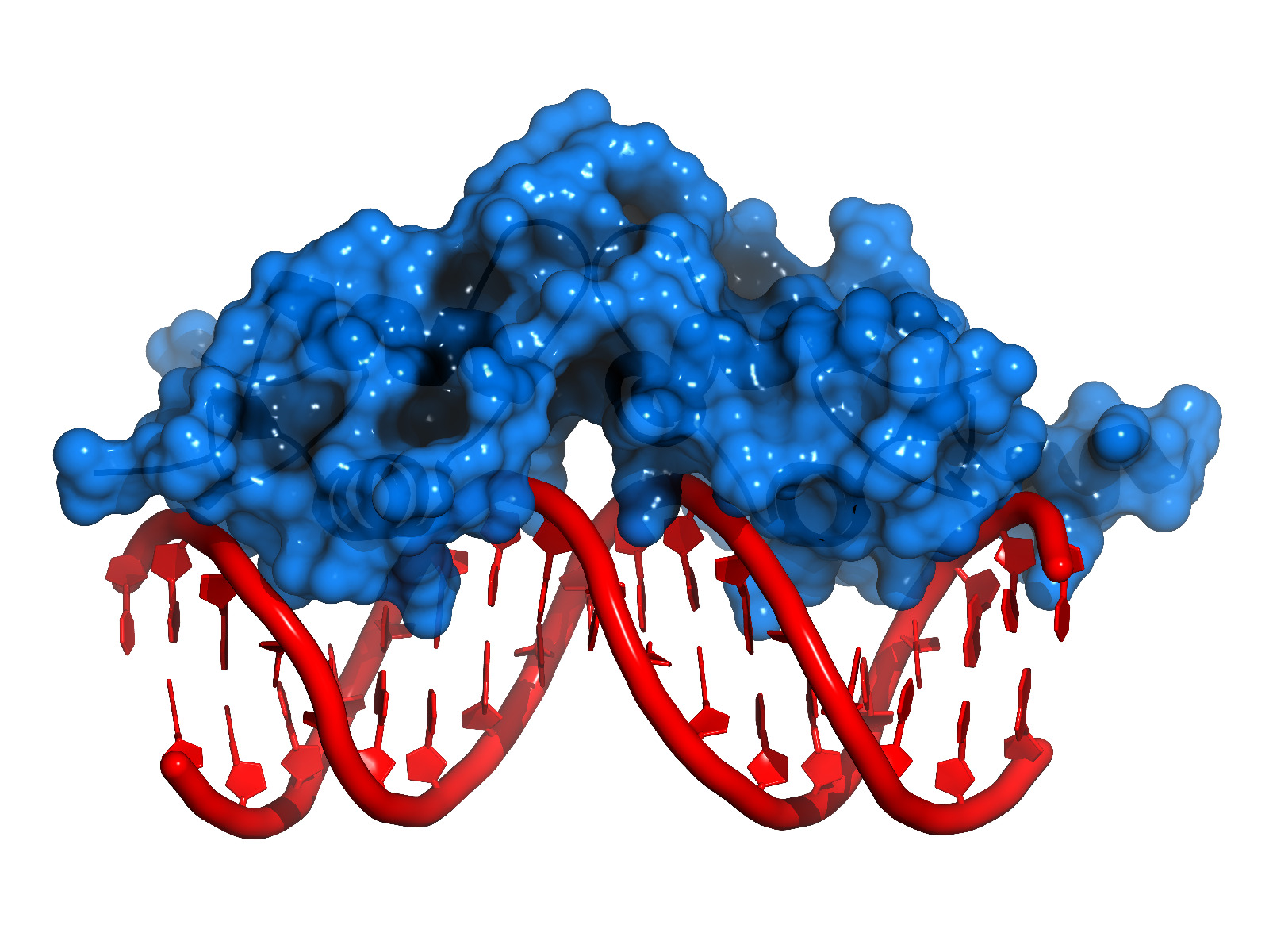 The new generation multi-enzymes