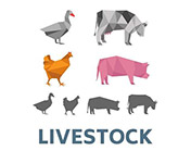 livestock-4-